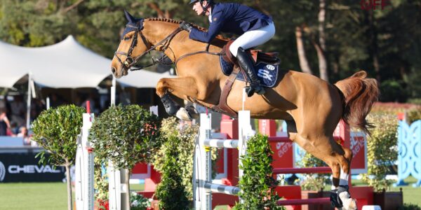 Devino Van&rsquo;t Langeveld Z, le nouvel espoir de Daniel Deusser.