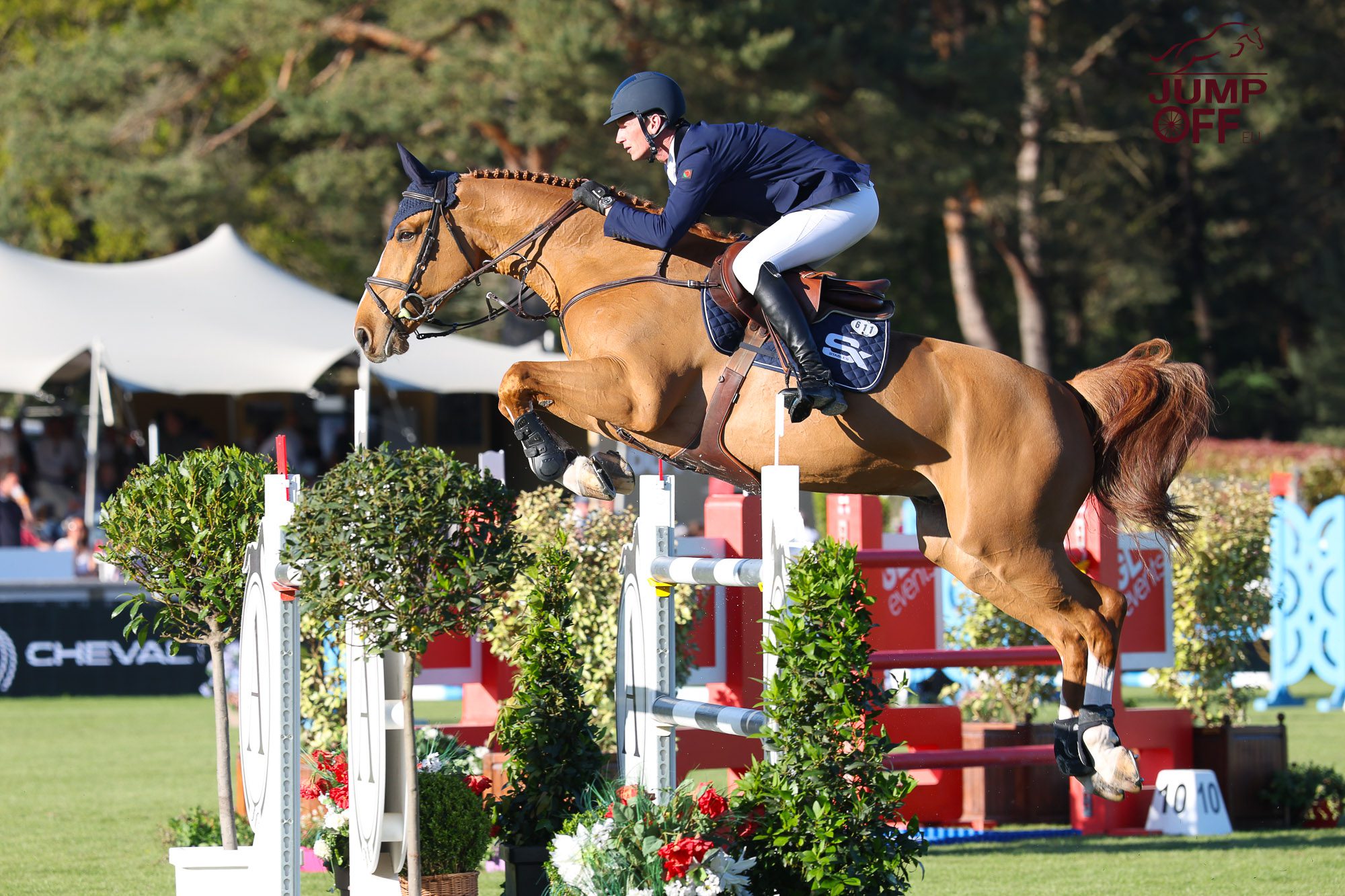 Devino Van't Langeveld Z, le nouvel espoir de Daniel Deusser. | Jump Off