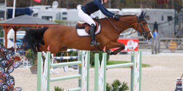 Katch Me Du Coin, une histoire d&rsquo;amitié récompensée.