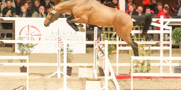 La famille T&L vous invite à Lier !