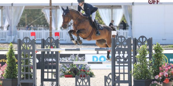 Pierre Ampaud, champion de France des jeunes cavaliers.