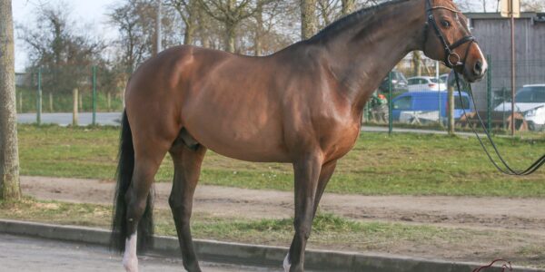 Disparition d&rsquo;Uriko.