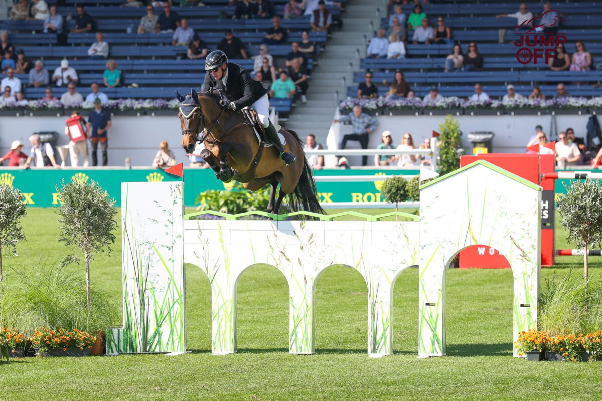 Daniel Coyle devant les Selle Français ! 1 IMG 4465
