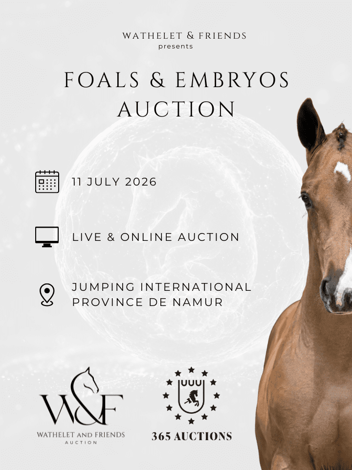 Wathelet & Friends Auction