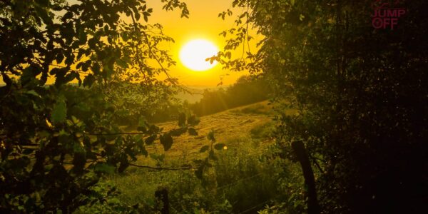 La canicule met les cavaliers en congé !