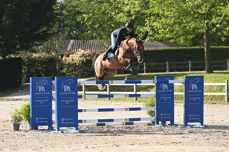 La Baule Auction revient le samedi 13 juin 2026 en parallèle du Jumping International de La Baule 4 image 1