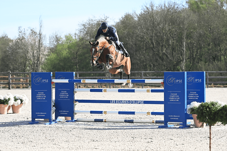 La Baule Auction revient le samedi 13 juin 2026 en parallèle du Jumping International de La Baule 3 image 2