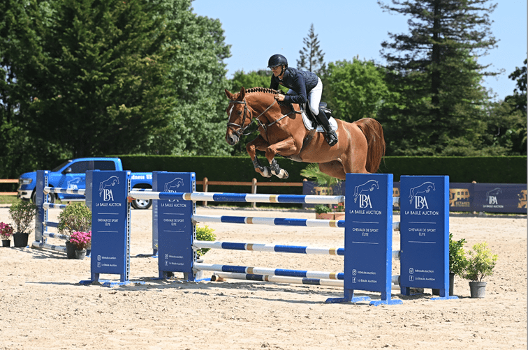 La Baule Auction revient le samedi 13 juin 2026 en parallèle du Jumping International de La Baule 1 image