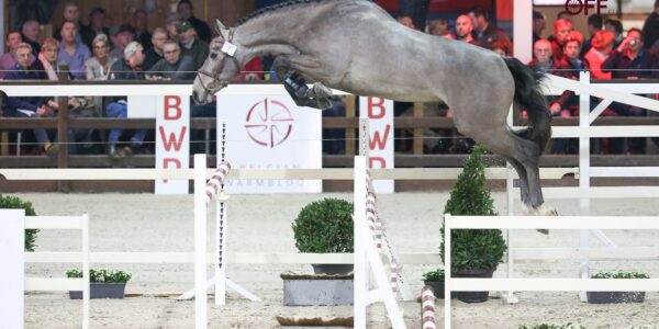 Rocco vd Bisschop pour Emilie Conter.