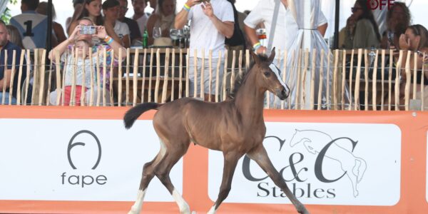 Ubée s’envole à 120.000 euros !