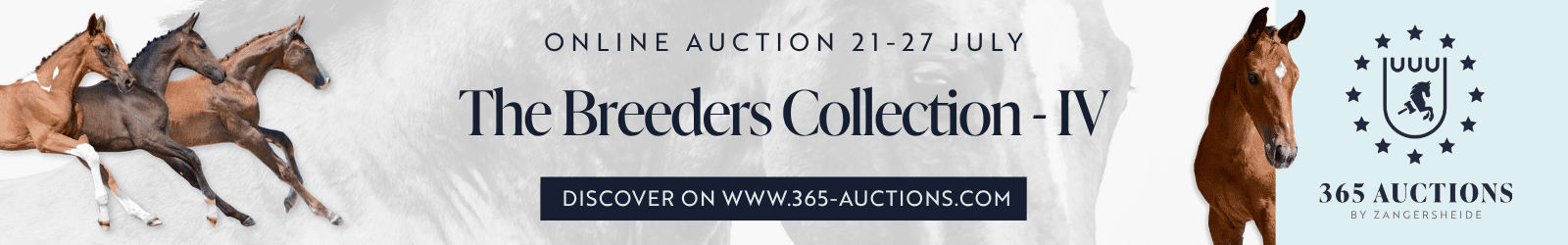 365 auction