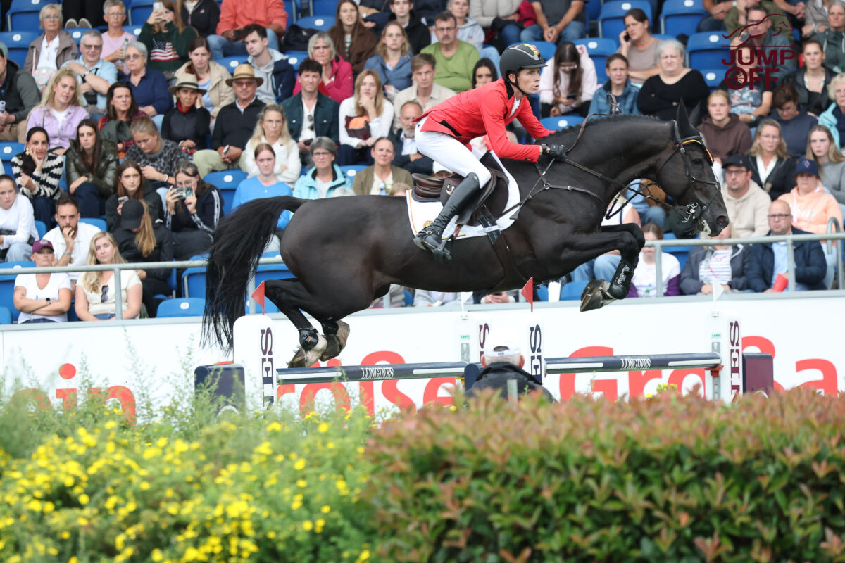 La chasse a rendu son verdict 14 3K3A0560 2 1