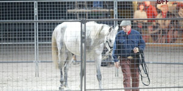 Disparition de Monty Roberts.