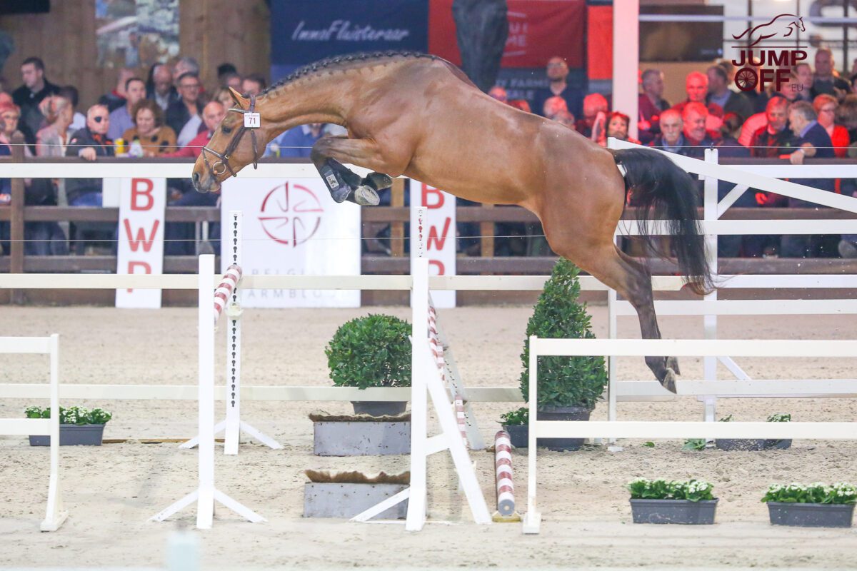 Happy Landais quitte Gilles Thomas. 1 BA3U2841