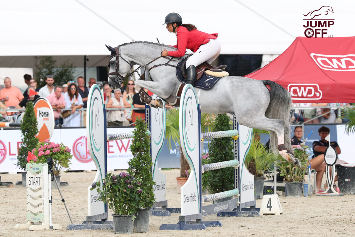 Edo de Will Z pour Jérôme Guery. 3 3K3A7457 1