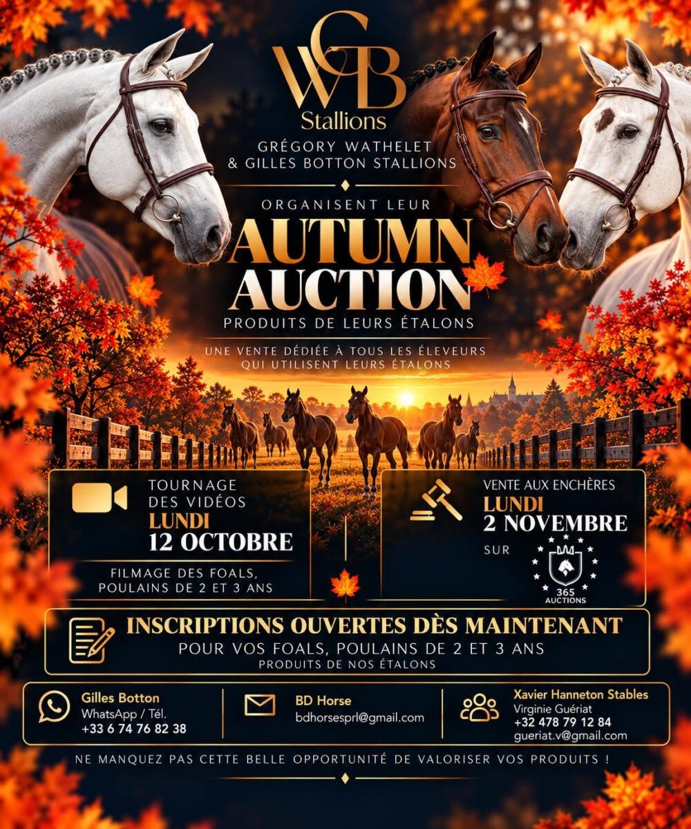 Wathelet & Botton stallions auction by 365 ! 2 825329334 122331193214204996 7014693206048766503 n