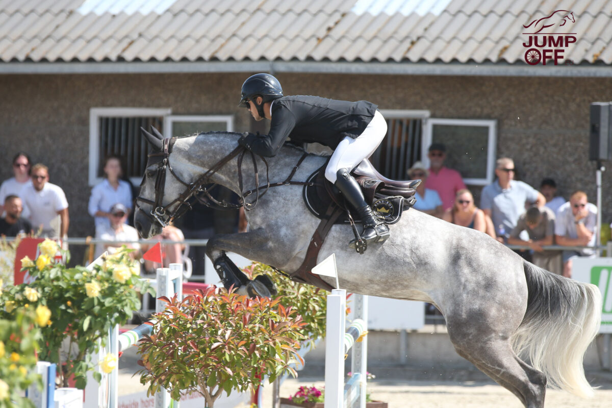 Quibelle AEG rejoint Ashford Farm. 3 BA3U1351 2 2