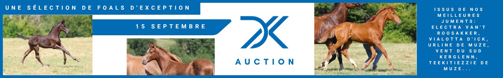 Haras d'Ick Auction 2026