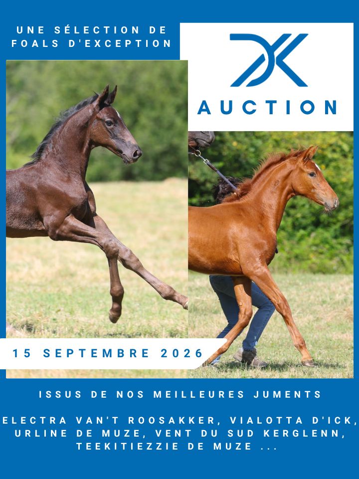 Haras d'Ick Auction 2026