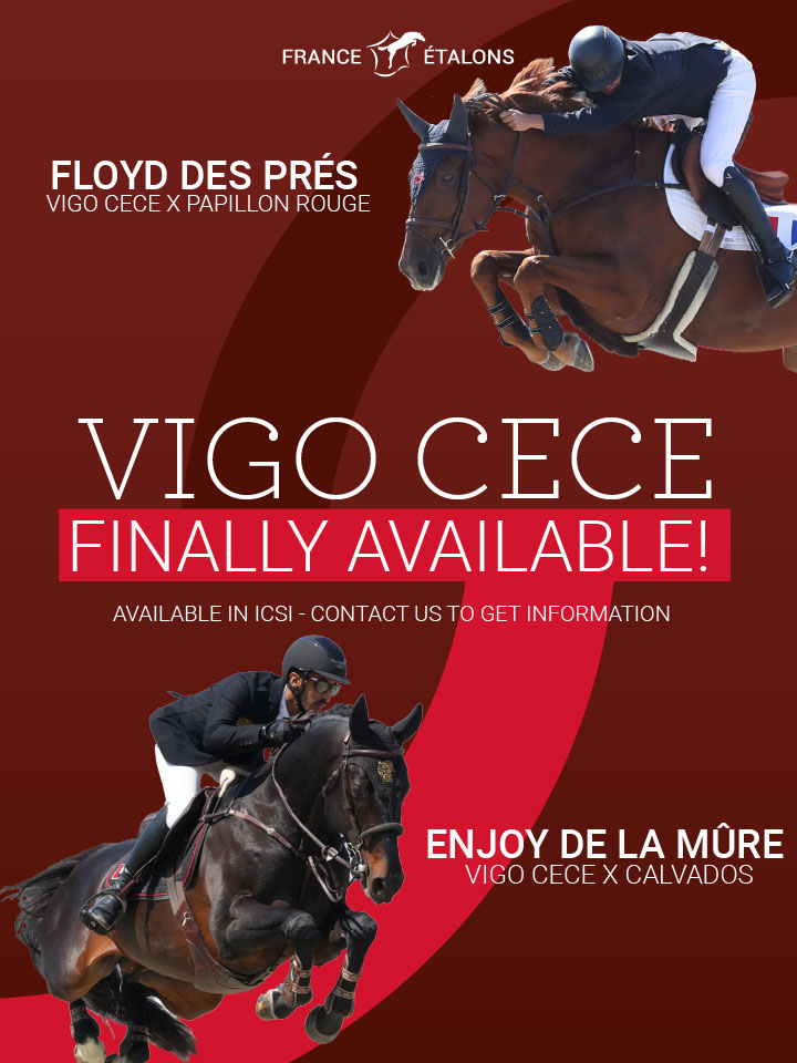 Vigo Cece