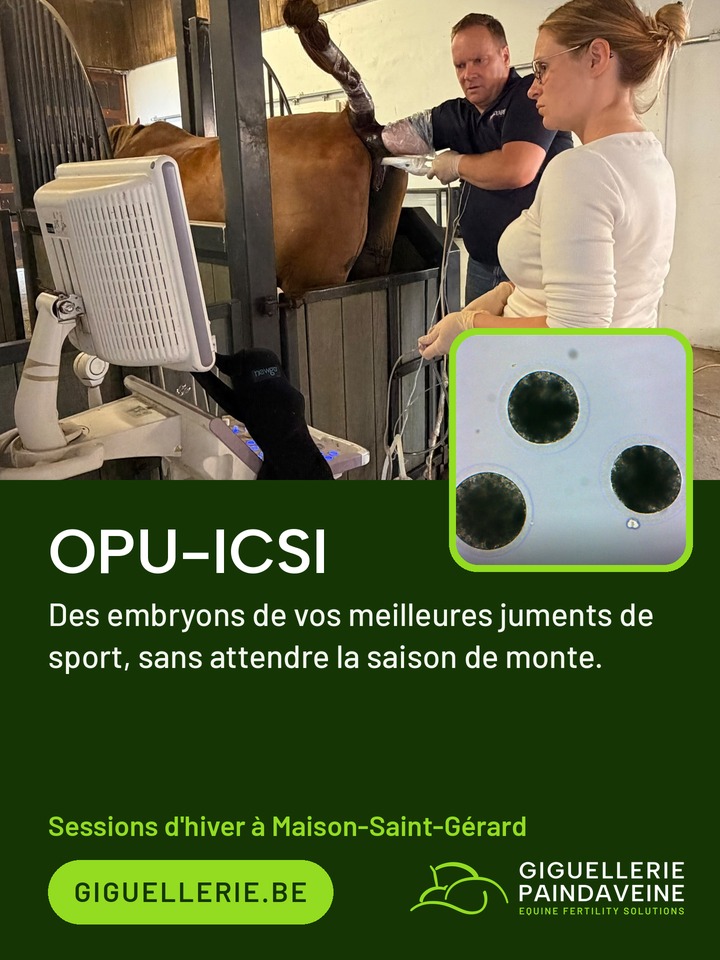 Giguellerie Opu