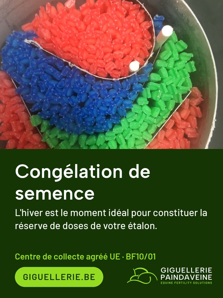 Giguellerie Congélation