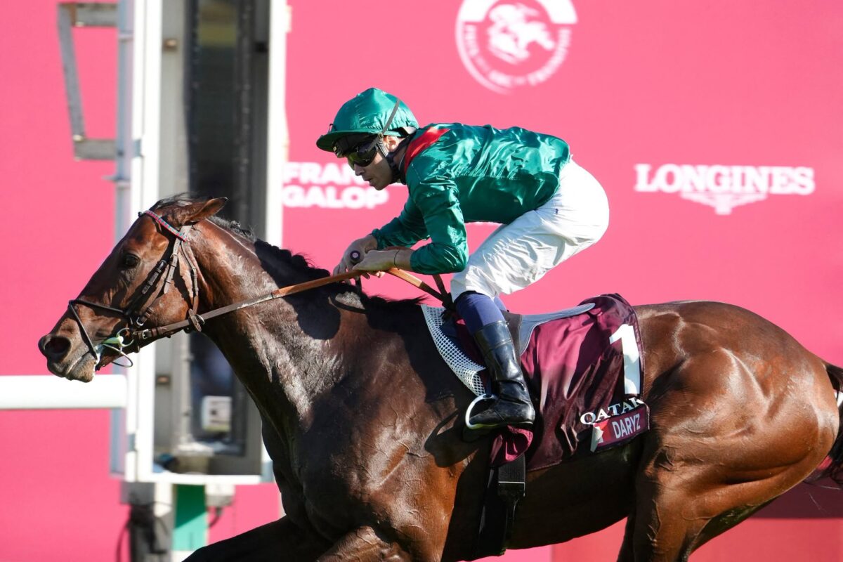 Daryz réalise le doublé dans l'Arc ! 1 838967959 1487728086736427 9030787128399057549 n