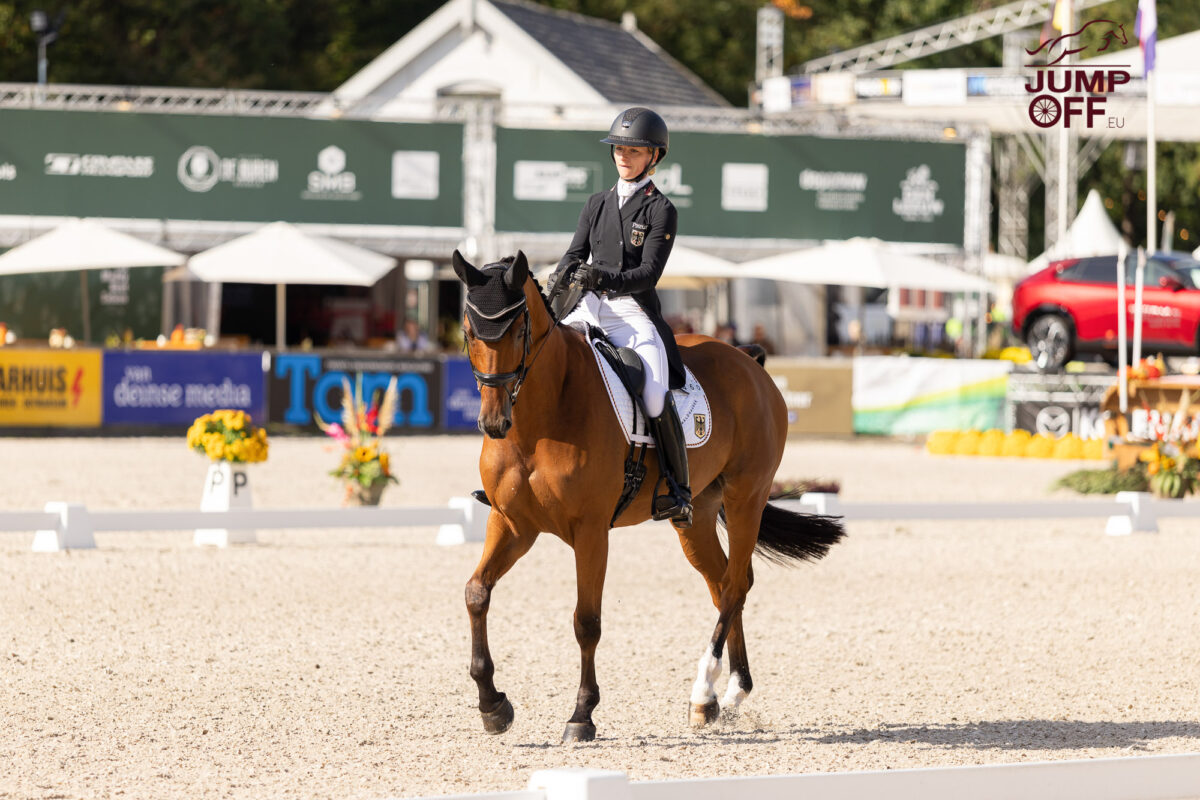 Le CCIO 4* de Boekelo est lancé ! 1 IMG 0652