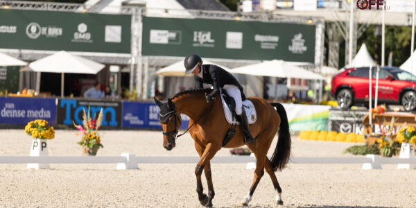 Le CCIO 4* de Boekelo est lancé !