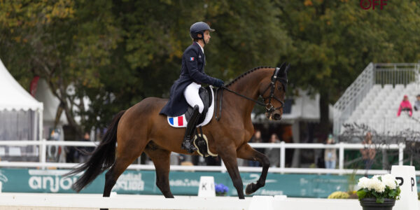 Passoa, Tara van het Leliehof et Jeroboam Wal ont pris un bon départ au Mondial du Lion.